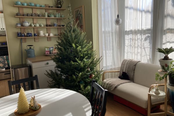 House sit in Pawtucket, RI, US