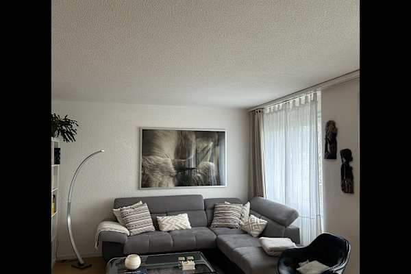 House sit in Bern, Switzerland