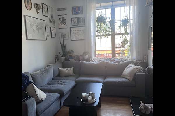 House sit in Brooklyn, NY, US
