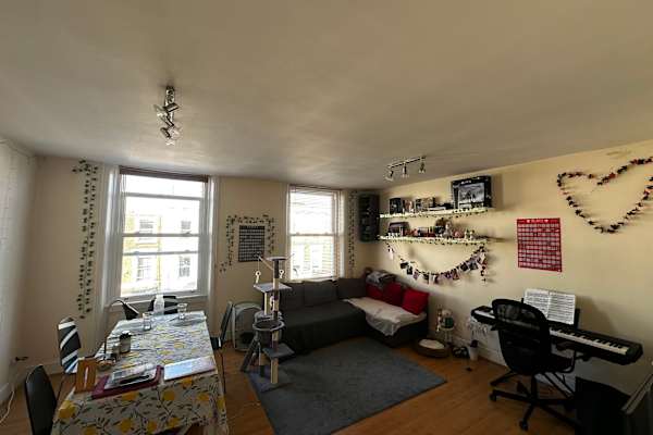 House sit in London, United Kingdom