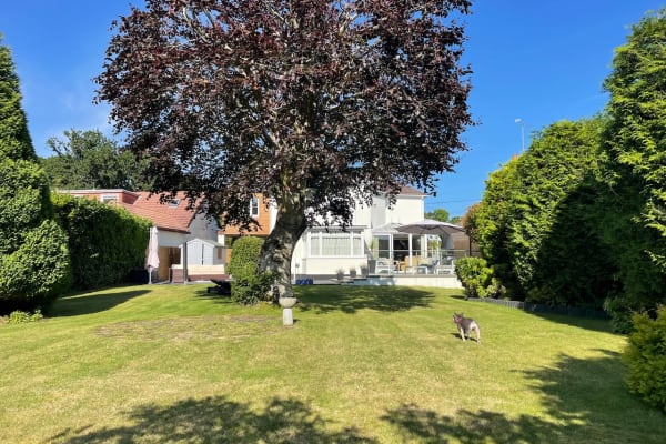House sit in Ferndown, United Kingdom
