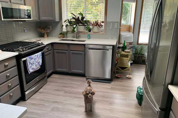 House sit in Courtenay, BC, Canada