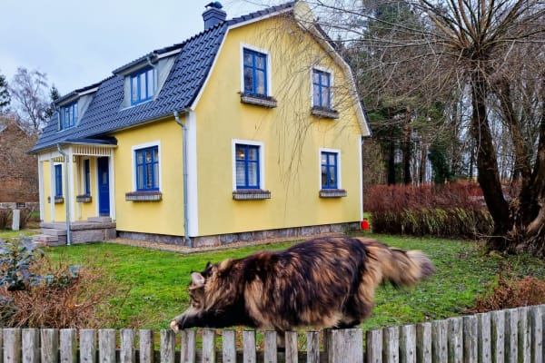 House sit in Vinslöv, Sweden