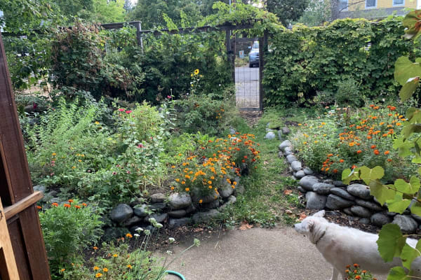 House sit in Ashland, OR, US