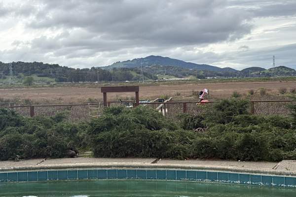 House sit in Novato, CA, US