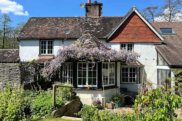 House sit in Liphook, United Kingdom