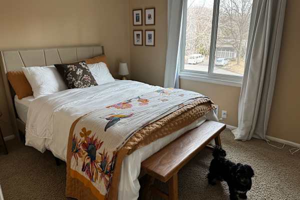 House sit in Minneapolis, MN, US