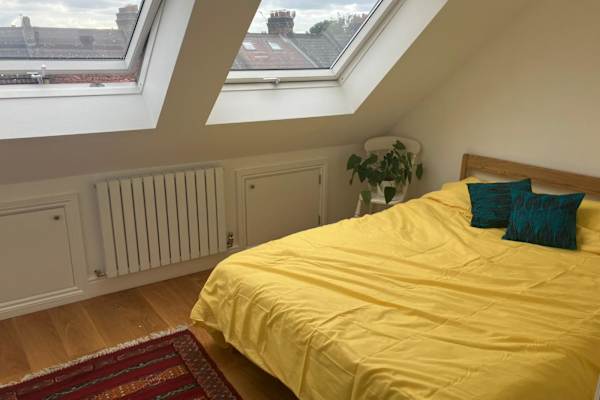 House sit in Harringay, United Kingdom