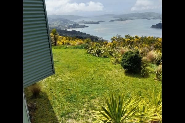 House sit in Dunedin, New Zealand