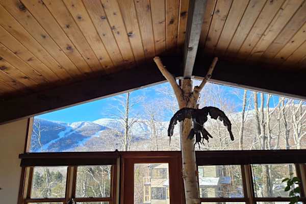 House sit in Warren, VT, US