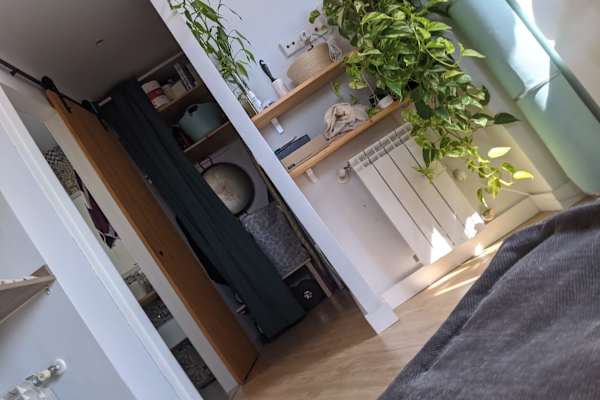 House sit in Madrid, Spain