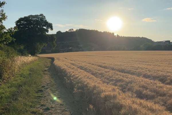 House sit in Evesham, United Kingdom
