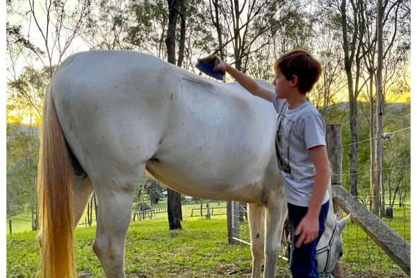 House sit in Brisbane, QLD, Australia