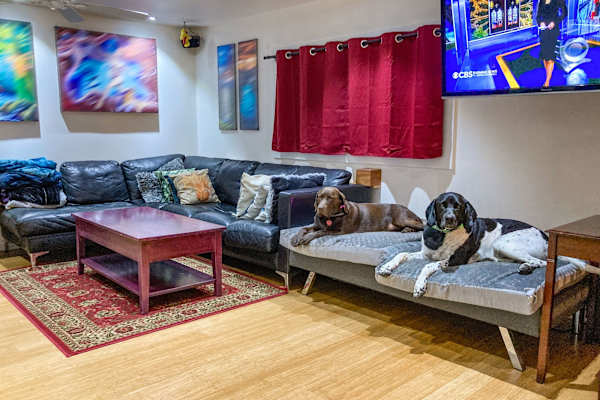 House sit in Bremerton, WA, US