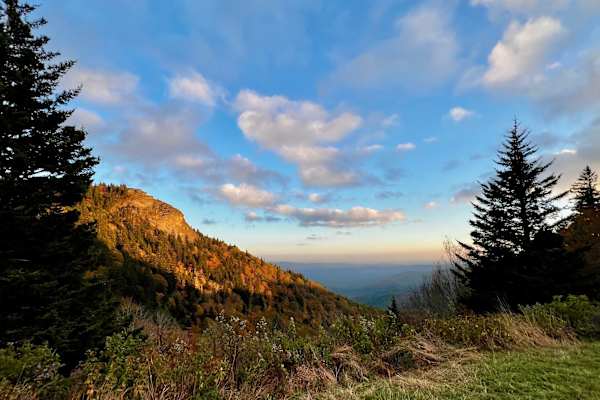 House sit in Waynesville, NC, US