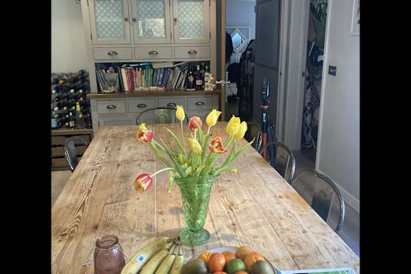 House sit in Holcombe, United Kingdom