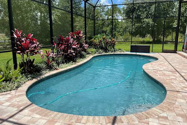 House sit in Tampa, FL, US