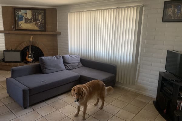 House sit in Tucson, AZ, US