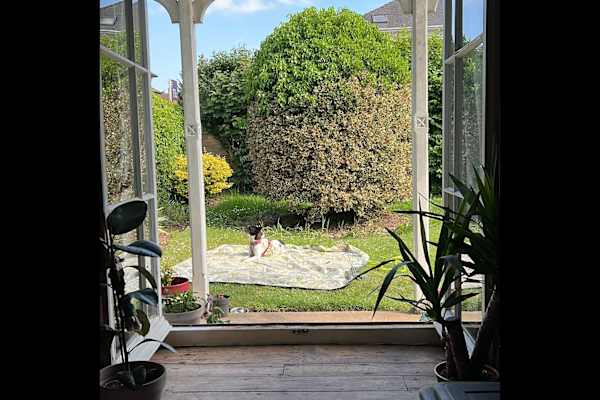 House sit in Worcester, United Kingdom
