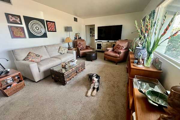 House sit in Phoenix, AZ, US