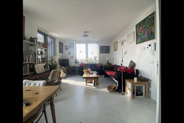 House sit in Amsterdam, Netherlands