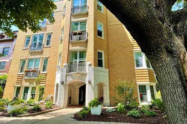 House sit in Oak Park, IL, US