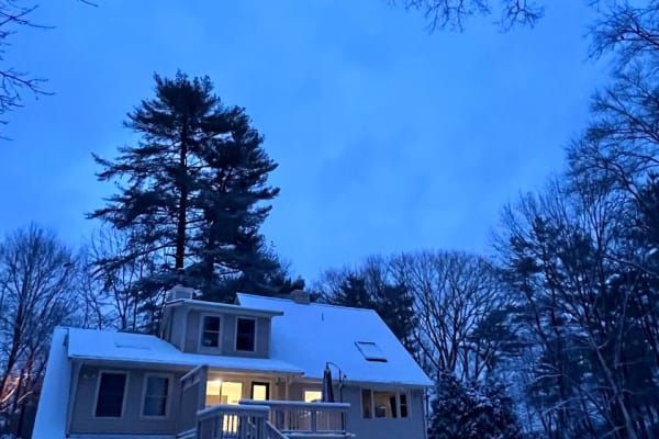 House sit in Stoughton, MA, US