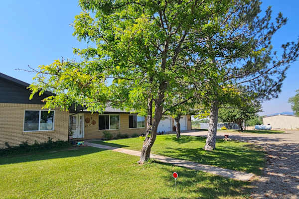 House sit in Cortez, CO, US