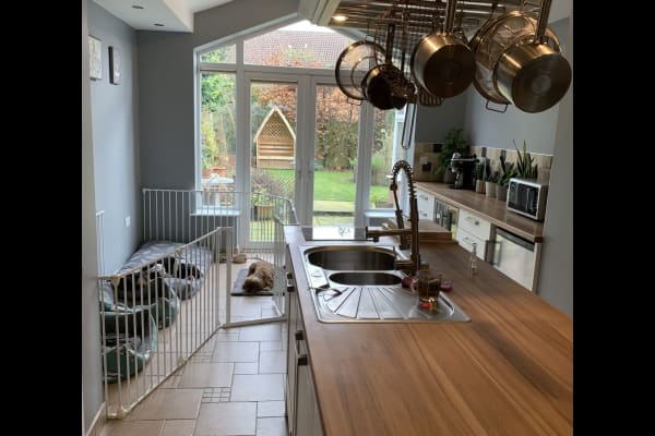 House sit in Mansfield, United Kingdom