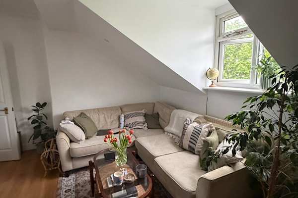 House sit in London, United Kingdom