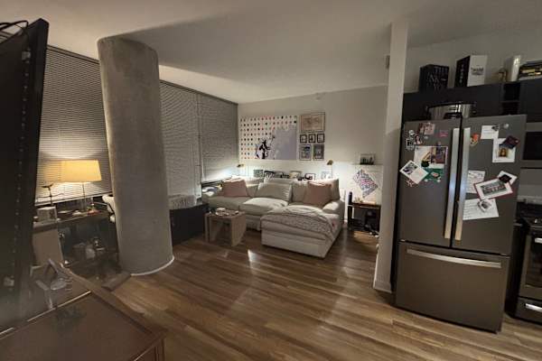 House sit in Chicago, IL, US
