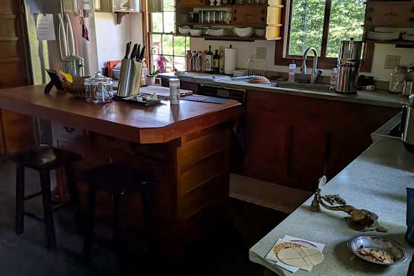 House sit in Leicester, NC, US