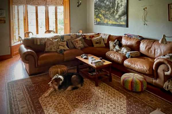 House sit in Estcourt, South Africa