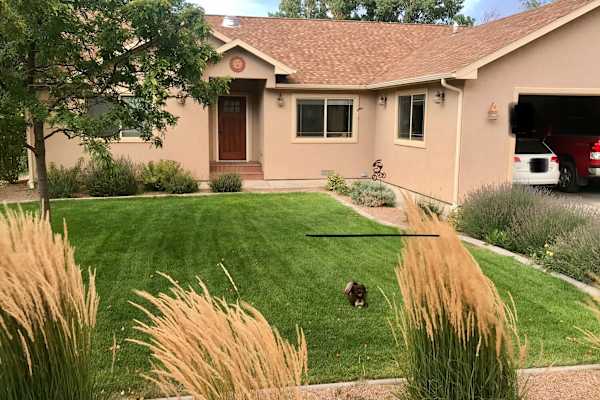 House sit in Grand Junction, CO, US