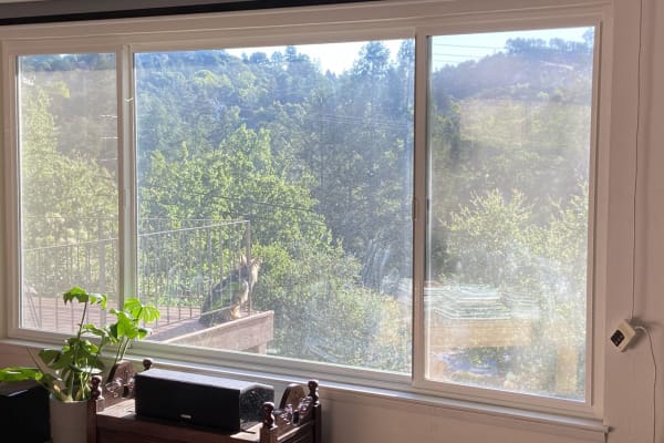 House sit in Orinda, CA, US