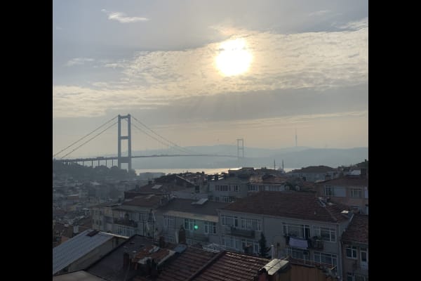 House sit in İstanbul, Turkey