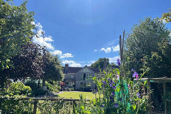 House sit in Bedale, United Kingdom