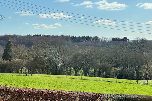 House sit in Lower Beeding, United Kingdom