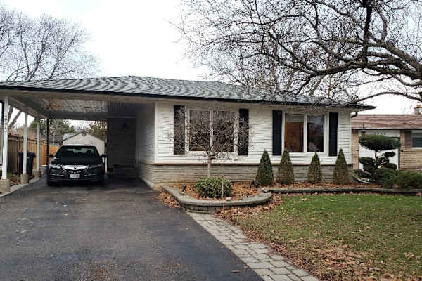 House sit in Mississauga, ON, Canada