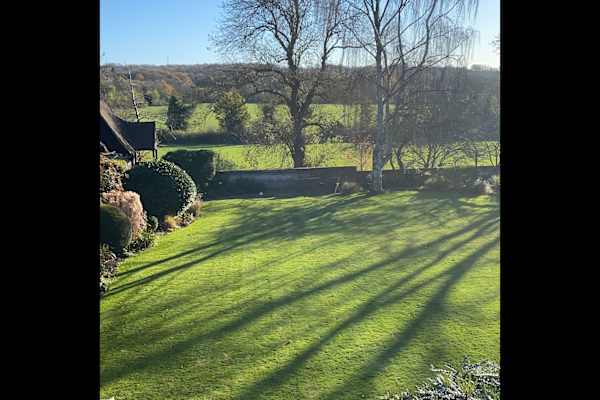 House sit in Golders Green, United Kingdom