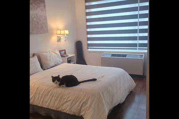 House sit in New York City, NY, US