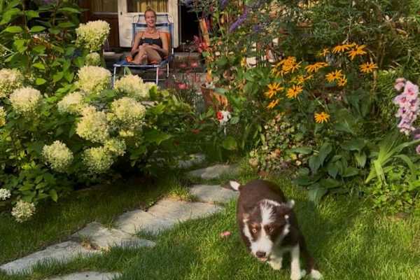 House sit in Amsterdam, Netherlands