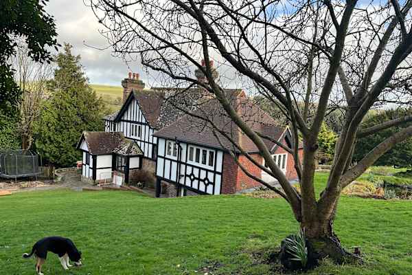 House sit in Eastbourne, United Kingdom