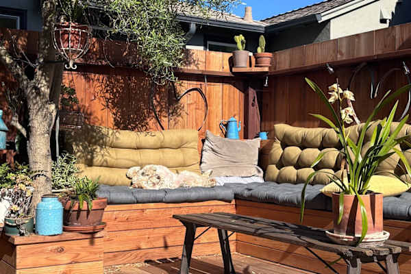 House sit in Berkeley, CA, US