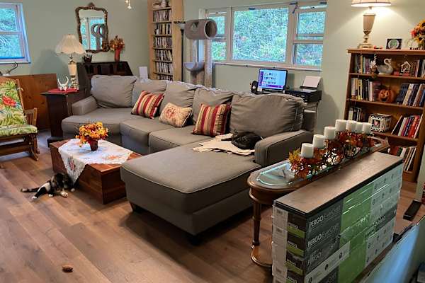 House sit in Spencer, West Virginia, US