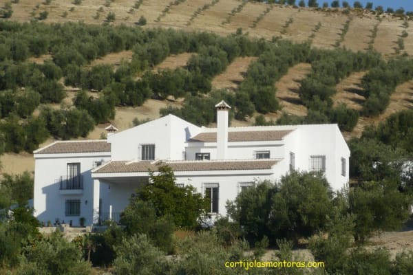 House sit in Alhama de Granada, Spain