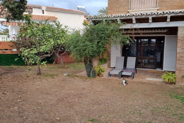 House sit in Málaga, Spain