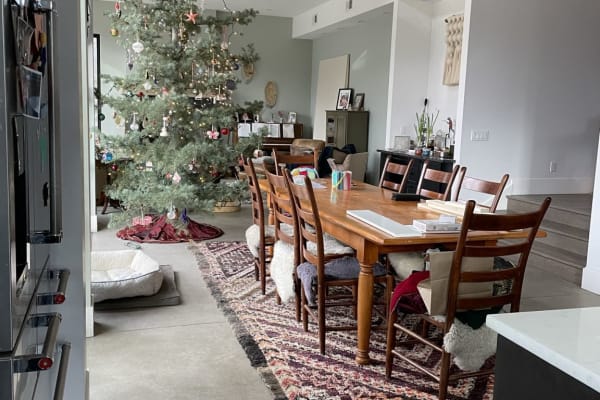 House sit in Boulder, CO, US