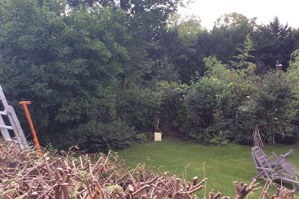 House sit in Maurepas, France