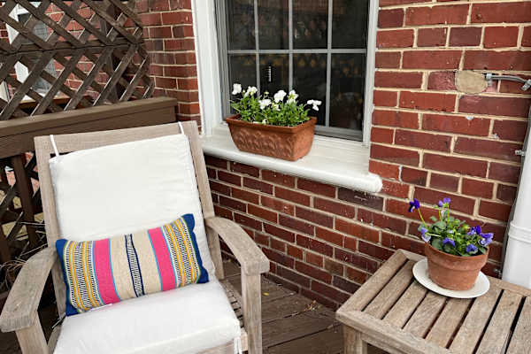 House sit in Arlington, VA, US